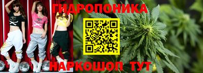 круглые Бердск