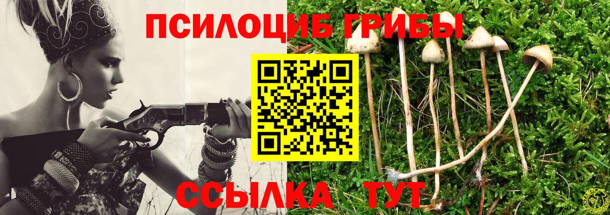 Псилоцибиновые грибы прущие грибы Бор