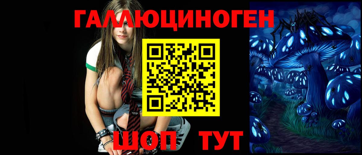 Бор  Псилоцибиновые грибы мицелий  Вход с VPN 